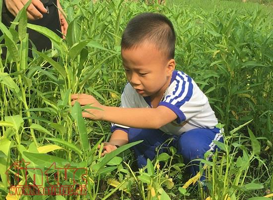 Nhiều khuyến mãi cùng đa dạng các tour du lịch hè ảnh 2