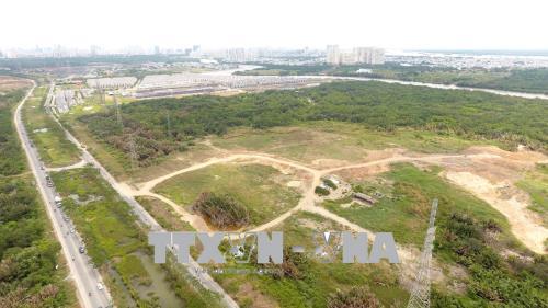 Thành phố Hồ Chí Minh: Kỷ luật hàng loạt lãnh đạo Công ty Tân Thuận ảnh 1
