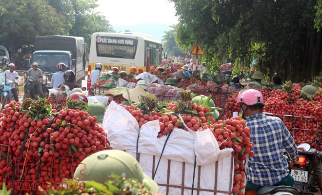 Nhộn nhịp mua bán vải thiều Lục Ngạn, Bắc Giang ảnh 1