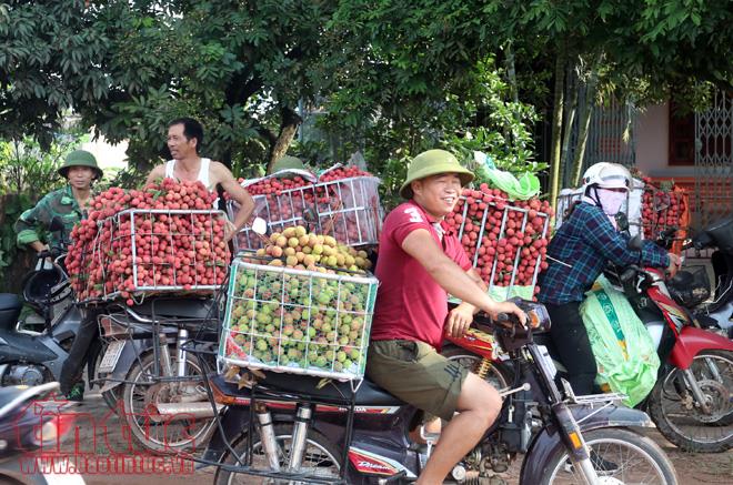 Nhộn nhịp mua bán vải thiều Lục Ngạn, Bắc Giang ảnh 6