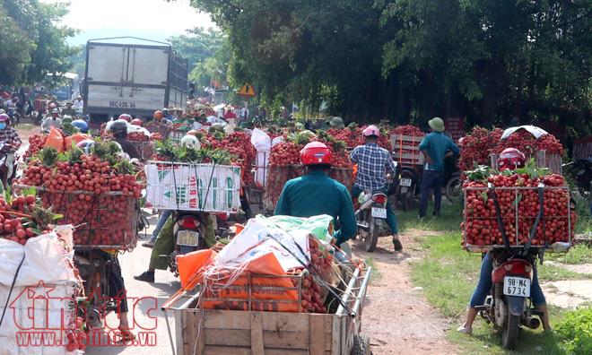 Nhộn nhịp mua bán vải thiều Lục Ngạn, Bắc Giang ảnh 7
