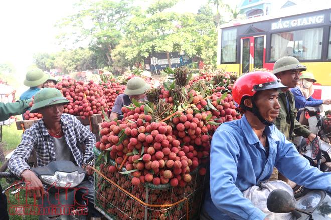 Nhộn nhịp mua bán vải thiều Lục Ngạn, Bắc Giang ảnh 8