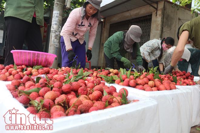 Nhộn nhịp mua bán vải thiều Lục Ngạn, Bắc Giang ảnh 13