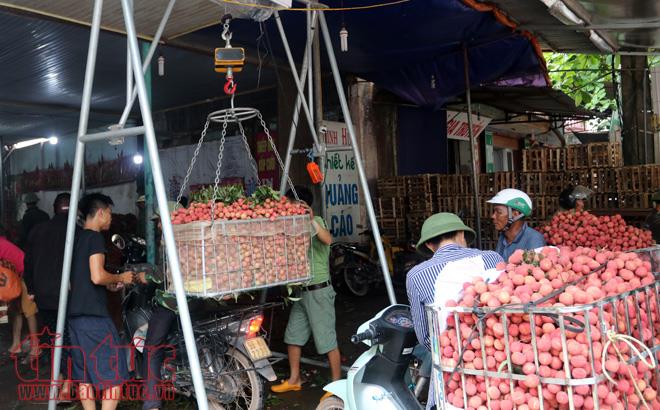 Nhộn nhịp mua bán vải thiều Lục Ngạn, Bắc Giang ảnh 14