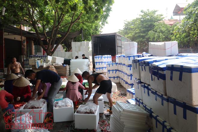 Nhộn nhịp mua bán vải thiều Lục Ngạn, Bắc Giang ảnh 17