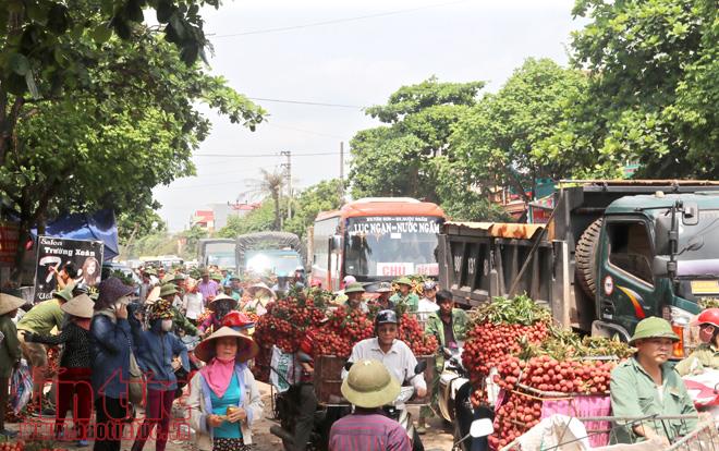 Nhộn nhịp mua bán vải thiều Lục Ngạn, Bắc Giang ảnh 18