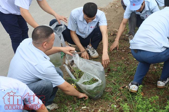 Hưng Yên: Chung tay giảm gánh nặng ô nhiễm môi trường ảnh 4