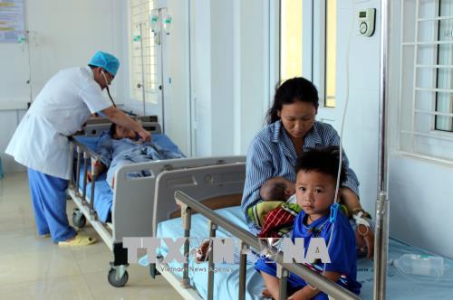 Sơn La: Chín người bị cấp cứu vì ăn nhầm nấm độc ảnh 1