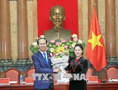 Chủ tịch nước Trần Đại Quang gặp mặt các nữ đại biểu Quốc hội khóa XIV ảnh 1