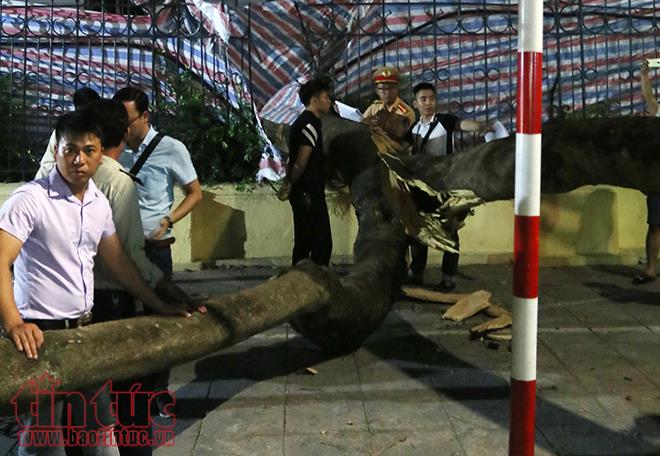 Cây đổ đè 5 người bị thương trên phố Quán Sứ ảnh 2