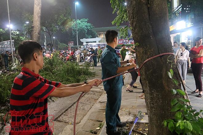 Cây đổ đè 5 người bị thương trên phố Quán Sứ ảnh 4