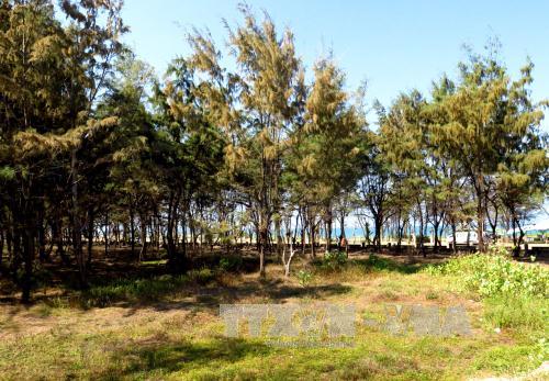 Quy hoạch đất đai ven biển: Để không còn lãng phí trong sử dụng ảnh 1