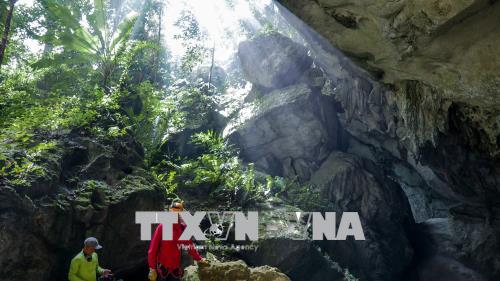 Di sản Thiên nhiên thế giới Vườn Quốc gia Phong Nha-Kẻ Bàng: 15 năm xây dựng và phát triển ảnh 2