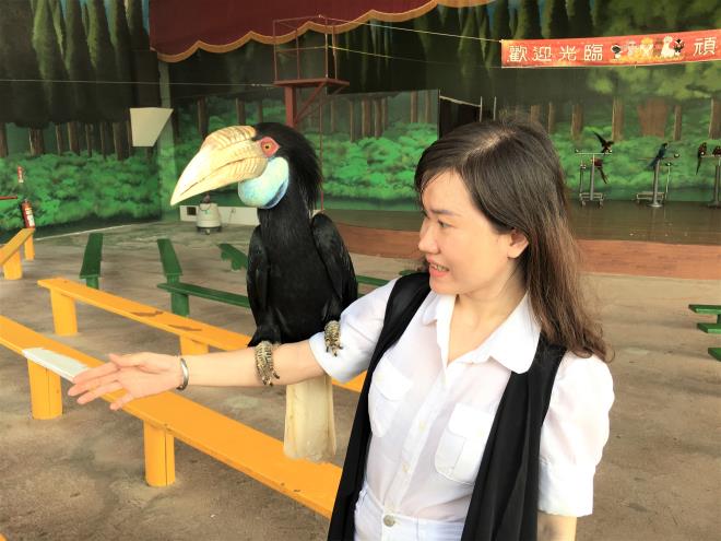 Khám phá 'Thế giới tinh nghịch' của muông thú ở Wanpi Safari ảnh 4