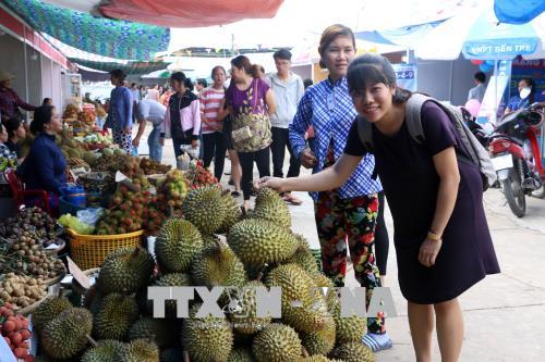 Bến Tre tìm giải pháp khai thác, phát triển nhãn hiệu cho cây trái, hoa kiểng ảnh 1