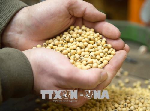 Ấn Độ áp thuế trả đũa Mỹ ảnh 1