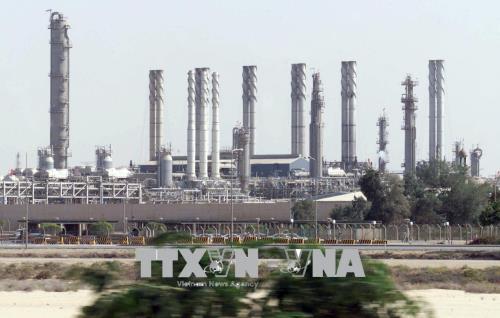OPEC tăng sản lượng dầu thêm 1 triệu thùng/ngày kể từ tháng 7/2018 ảnh 1