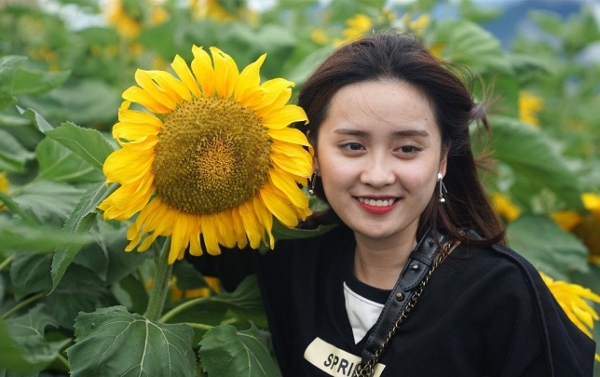 Giới trẻ đổ về Sa Pa chụp ảnh hoa hướng dương ảnh 7