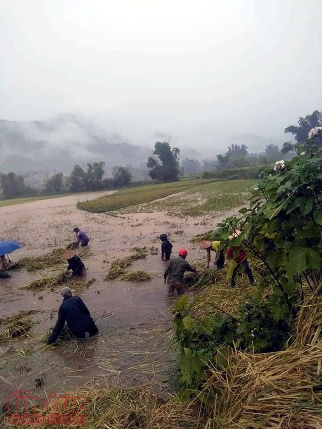 Mưa lớn làm ách tắc nghiêm trọng trên Quốc lộ 279 tại Lào Cai ảnh 2