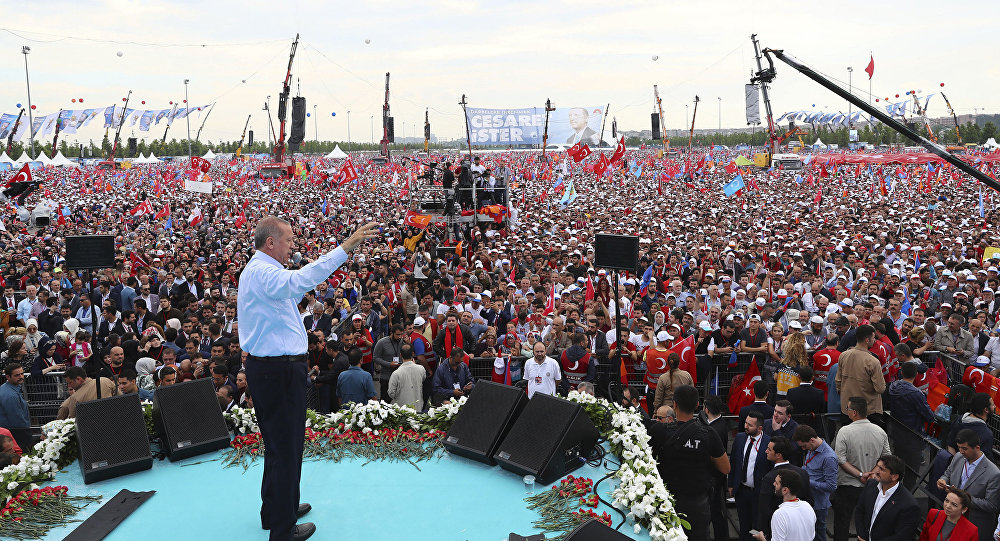 Quyền lực của Tổng thống Thổ Nhĩ Kỳ Erdogan mạnh đến đâu sau khi tái đắc cử? ảnh 1