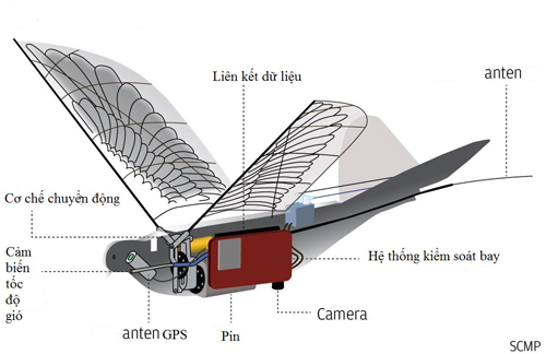 Trung Quốc sáng chế UAV chim bồ câu bịt mắt radar ảnh 2