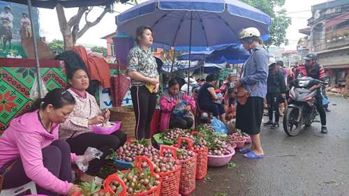 Mận Bắc Hà níu chân du khách ảnh 3