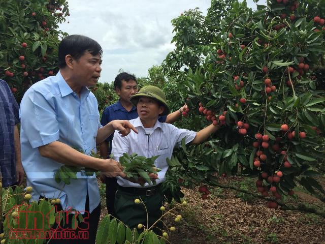 Vì sao xuất khẩu nông sản đạt mức kỷ lục? ảnh 1