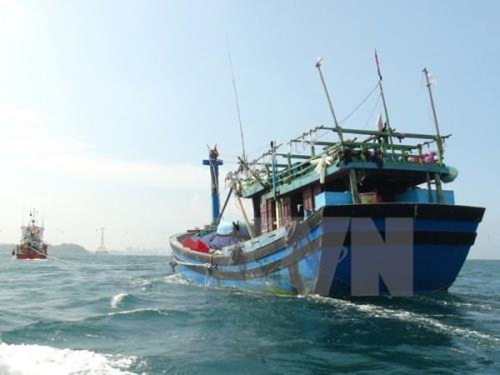 EC yêu cầu Việt Nam nỗ lực hơn nữa để gỡ thẻ vàng thủy sản ảnh 2