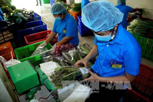 Nhiều doanh nghiệp tư nhân vẫn chưa thể chuyển mình lớn dậy ảnh 1