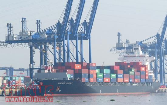 'Dở khóc dở cười' với hàng ngàn container phế liệu nằm cảng ảnh 1
