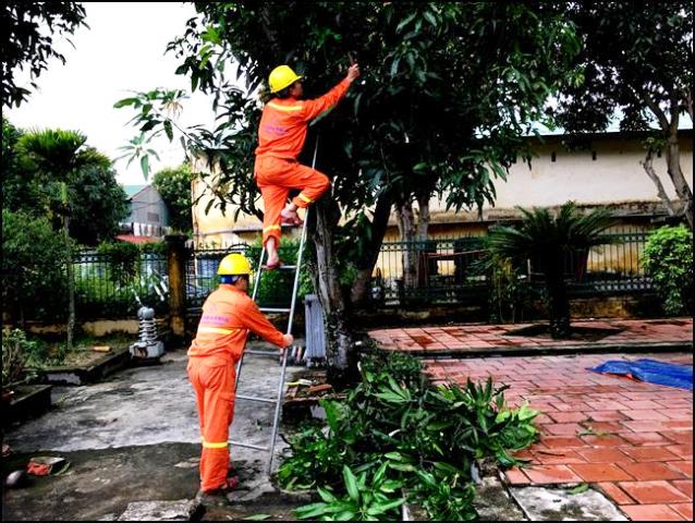 Ngành điện miền Bắc hoãn họp không cần thiết để ứng phó với bão ảnh 1