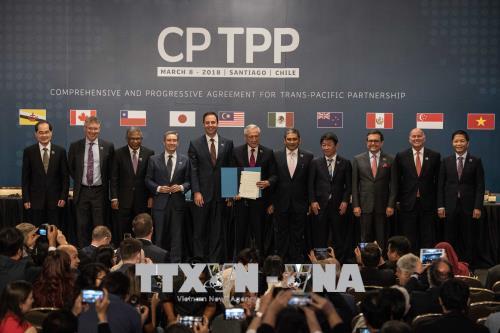 Singapore trở thành nước thứ ba phê chuẩn CPTPP ảnh 1
