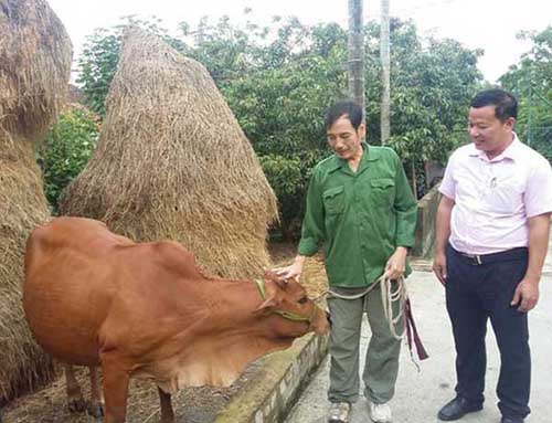 Những người lính ở Nam Đàn trên mặt trận giảm nghèo ảnh 1