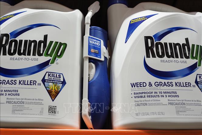 Chờ phán quyết của tòa án Mỹ về chất diệt cỏ của Monsanto có thể gây gây ung thư ảnh 1