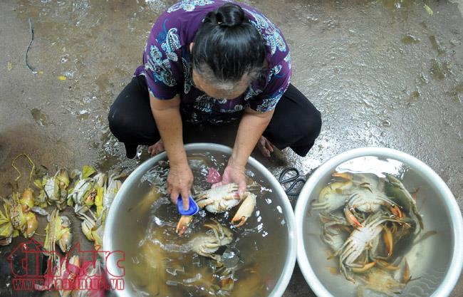 Cua 'dì Ba' giá gần 1 triệu đồng/kg vẫn bán đắt như 'tôm tươi' ảnh 2