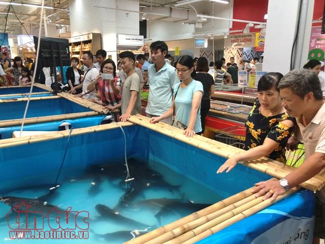 Sau vải thiều, nhãn lồng... nhiều đặc sản khác sẽ có mặt tại các siêu thị lớn ảnh 2