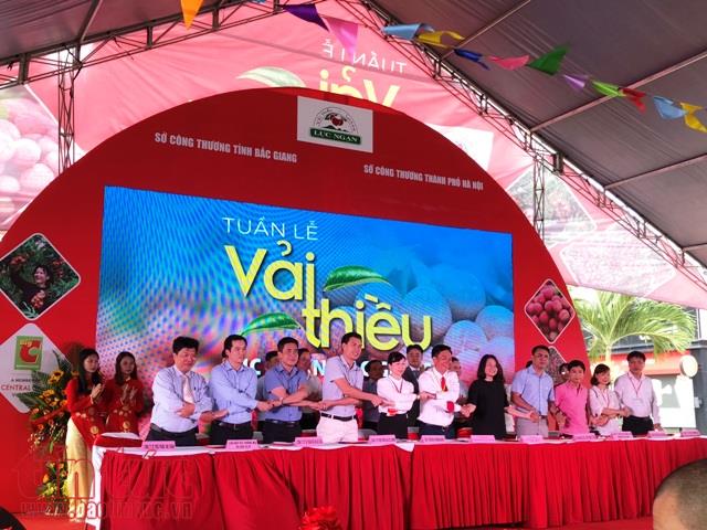 Sau vải thiều, nhãn lồng... nhiều đặc sản khác sẽ có mặt tại các siêu thị lớn ảnh 3