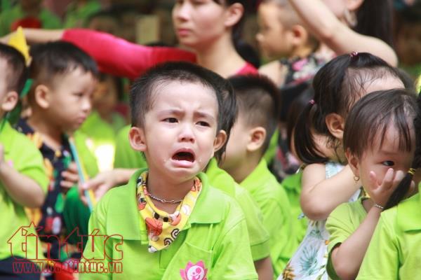 Bé mầm non lã chã nước mắt ngày đầu tiên khai giảng ảnh 6