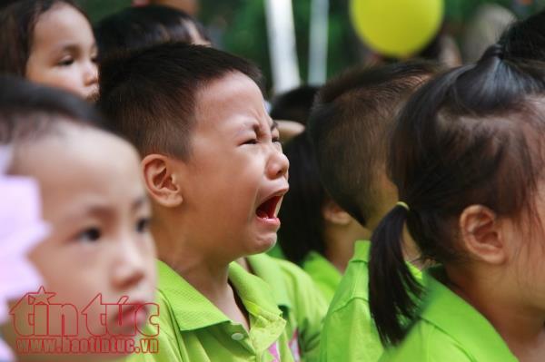 Bé mầm non lã chã nước mắt ngày đầu tiên khai giảng ảnh 5