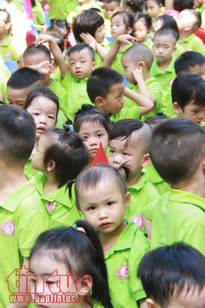 Bé mầm non lã chã nước mắt ngày đầu tiên khai giảng ảnh 12