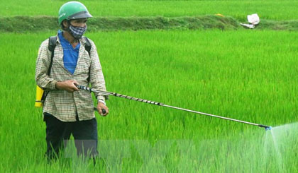 Đề xuất loại bỏ sản phẩm thuốc diệt cỏ có chứa hoạt chất Glyphosate ảnh 2