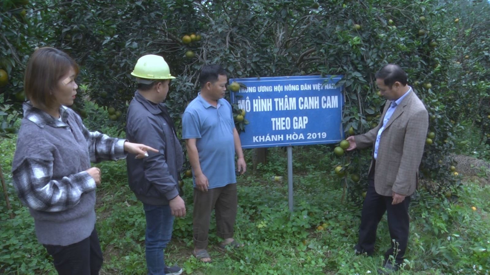 Chú thích ảnh