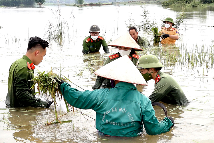 Chú thích ảnh