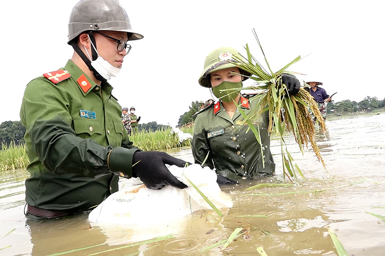 Chú thích ảnh
