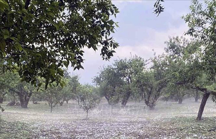 Chú thích ảnh