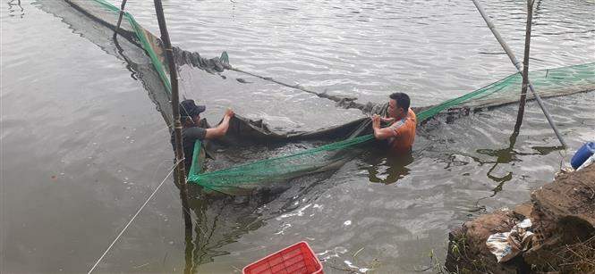 Chú thích ảnh