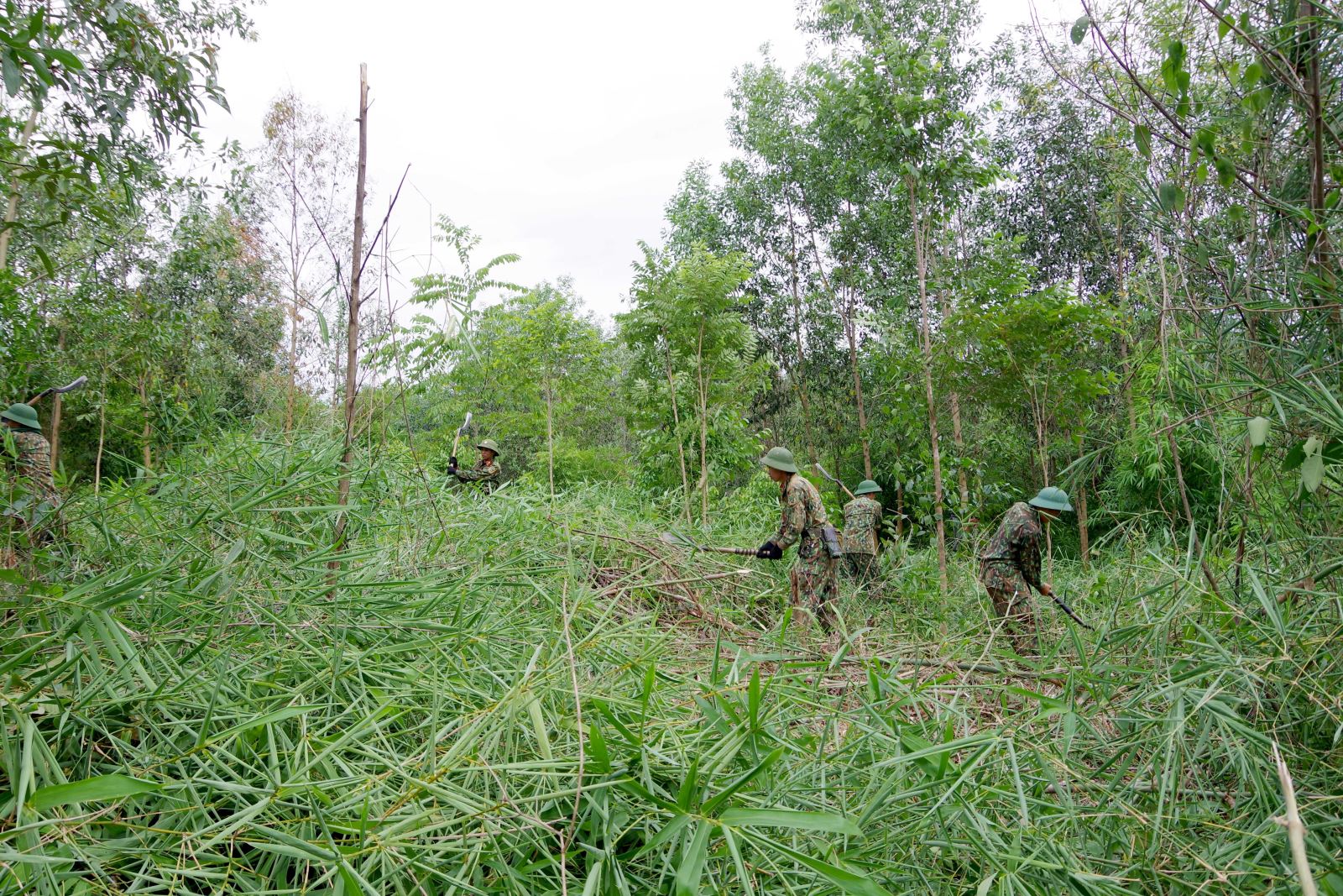Chú thích ảnh
