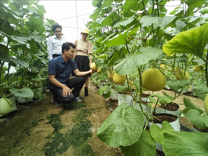 Nông dân làm chủ kiến thức sẽ tự quyết định được việc làm của mình