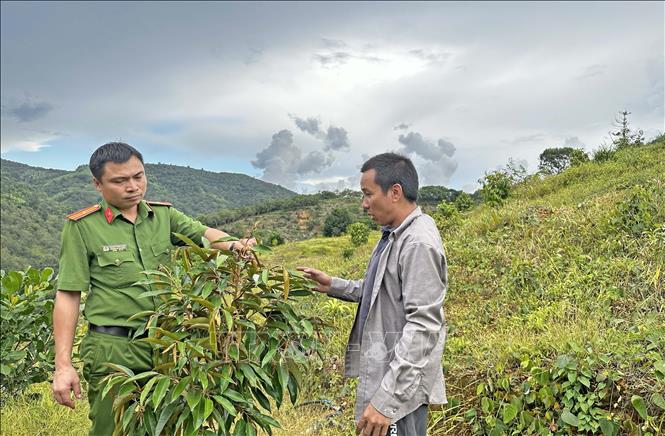 Chú thích ảnh