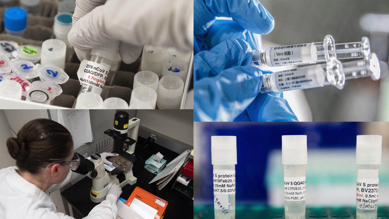 Toàn thế giới bước vào cuộc chạy đua sản xuất vaccine ngừa COVID-19. Ảnh: TTXVN